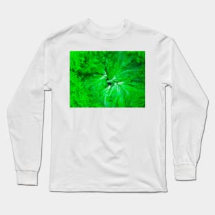 Lettuce green salad leafs arranged in a circle Long Sleeve T-Shirt